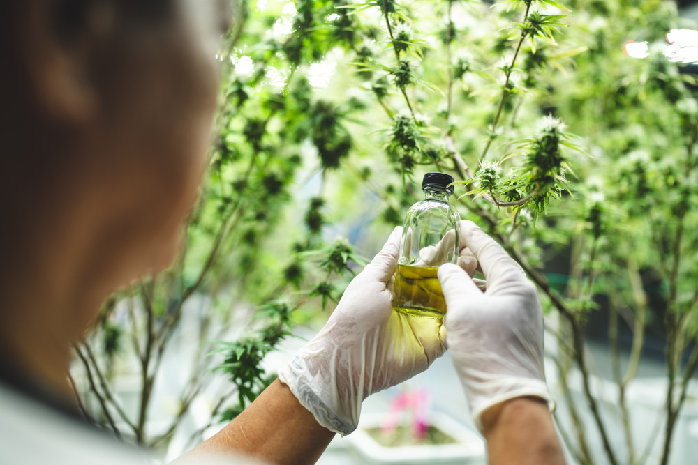 Législation du CBD en France : un cadre en constante évolution